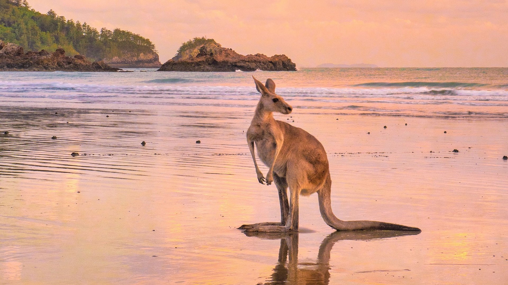 Queensland