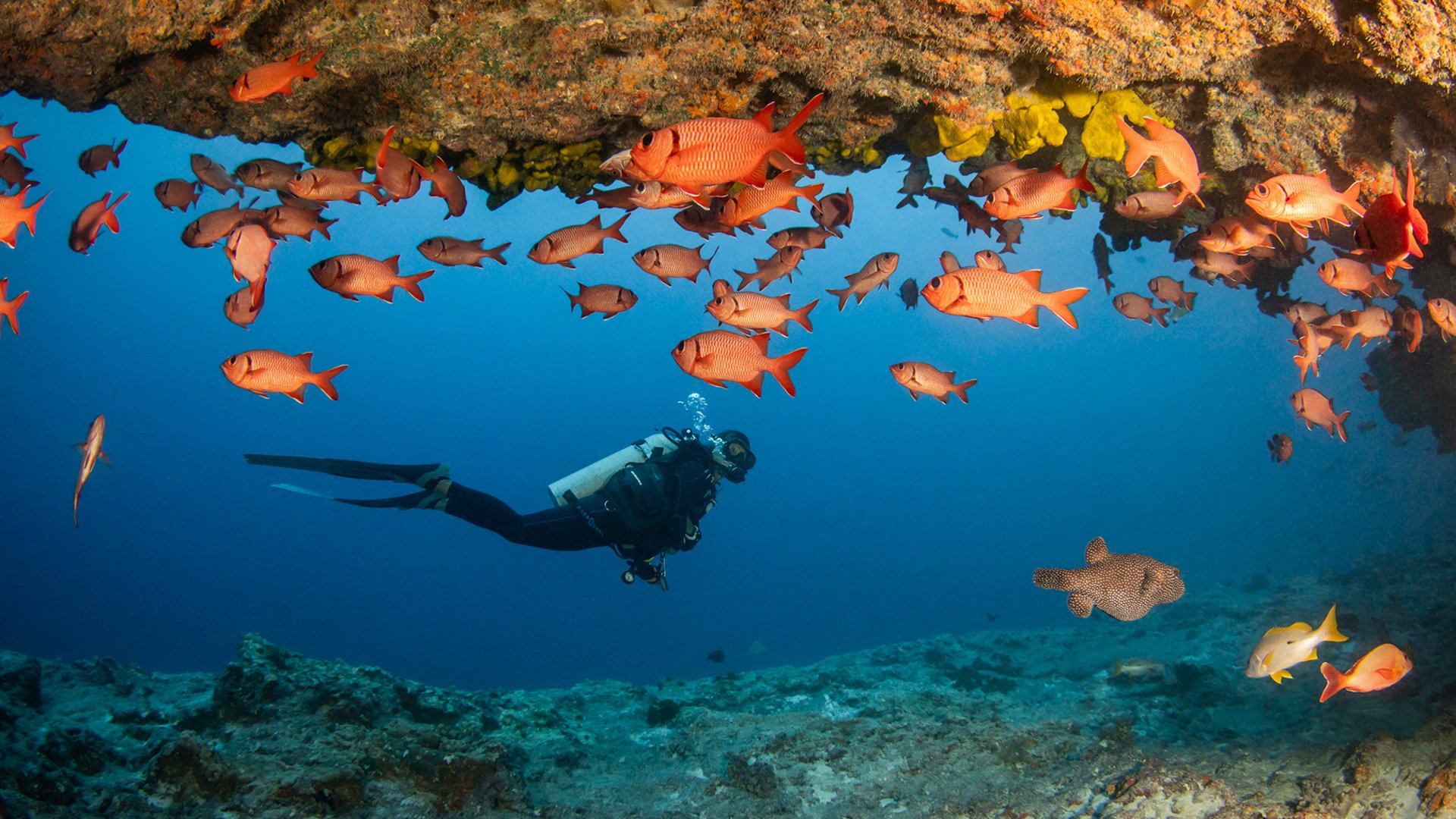 Französisch Polynesien