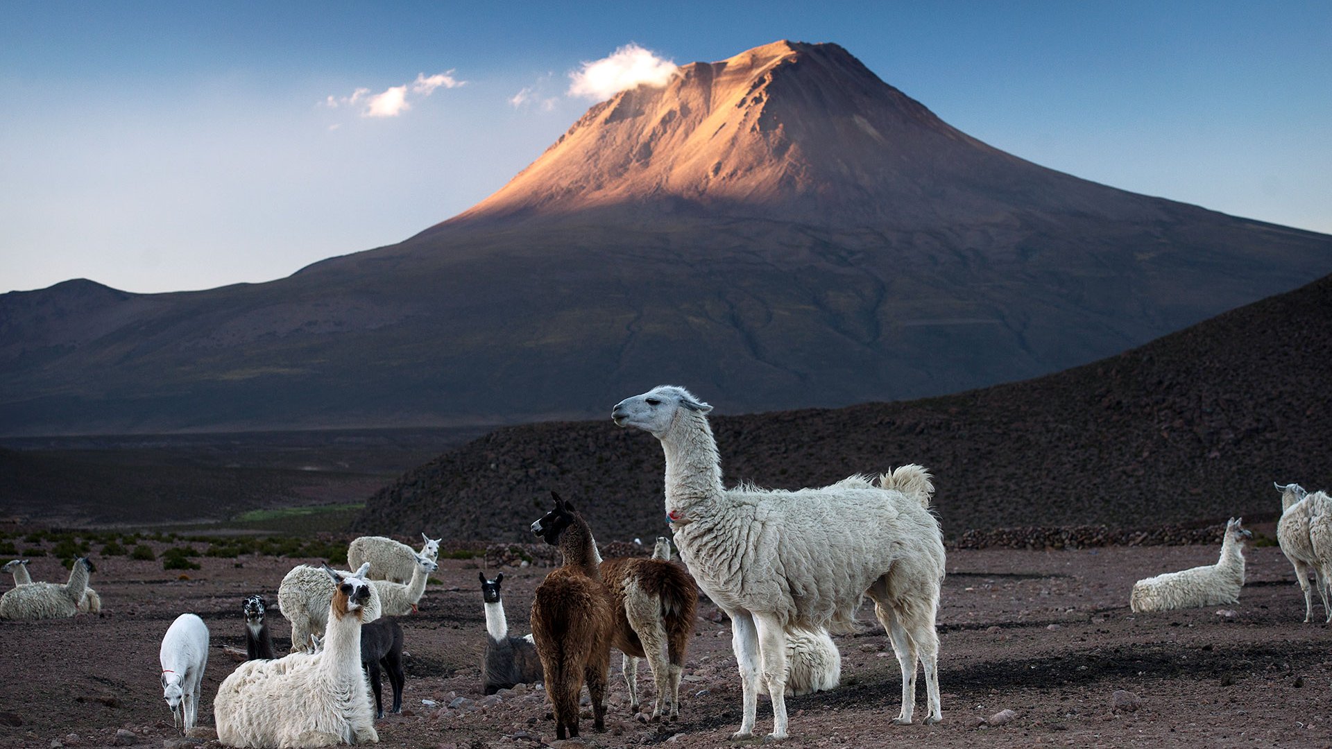 Chile