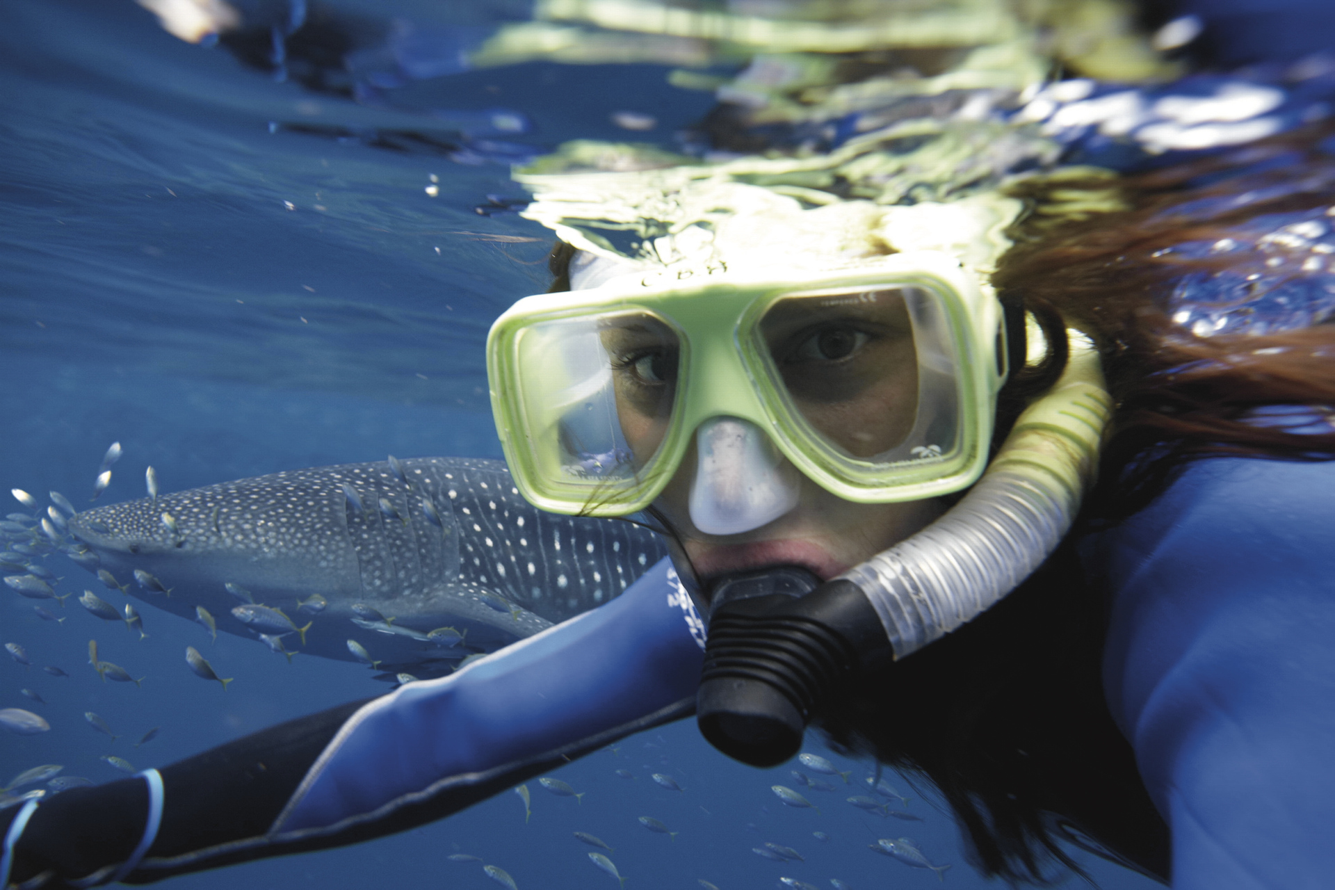 снорклинг в бассейне. маска для плавания, снорклинга с трубкой. снорклинг что это такое простыми словами. сноркелинг новая британия. снорклинг пхукет.