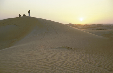 In der Wüste von Dubai