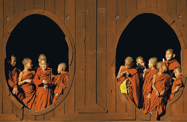 Junge Mönche