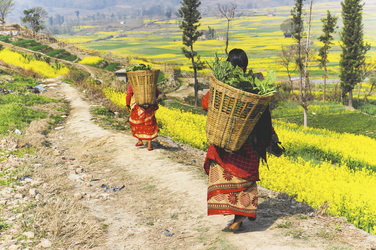 Land und Leute in Nepal