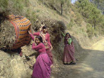 Indische Frauen bei der Grasernte