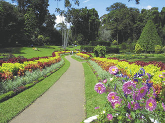 Botanischer Garten in Peradeniya