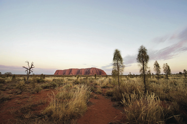 Blick auf Uluru
