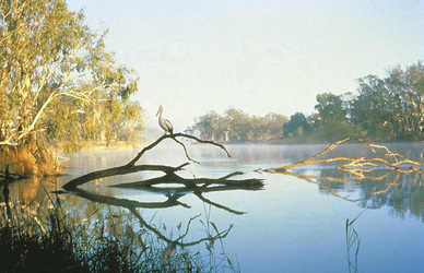 Morgenstimmung im Kakadu Nationalpark