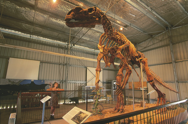 Dinosaurier Center, ©Tourism Queensland Image Library