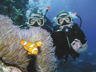 Taucher am Great Barrier Reef