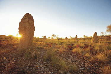 Termitenhügel im Outback, ©Tourism Queensland