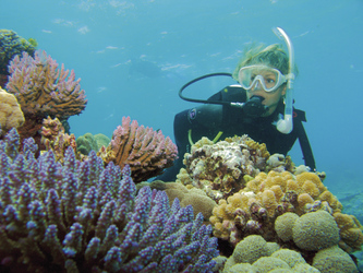 Taucher am Great Barrier Reef ©InDepth Video