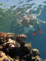Schnorchler am Great Barrier Reef
