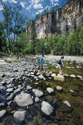 Wandern in der Carnarvon Gorge, ©Tourism and Events Queensland