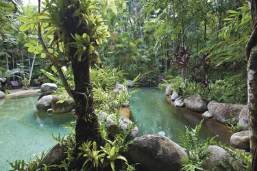 Pool im tropischen Grün