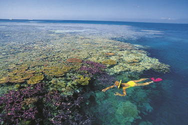 Schnorchler am Great Barrier Reef