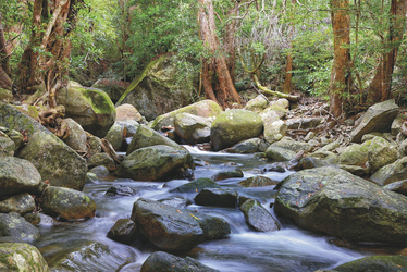 Mungumby Creek, ©Australian Pacific Lodges Pty Ltd