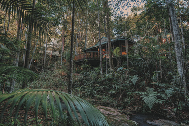 Bungalow eingebettet im Regenwald