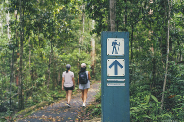 Wanderweg im angrenzenden Kandalilla Nationalpark, ©Tourism and Events Queensland