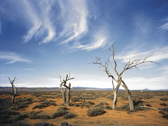 Landschaft in den Flinders Ranges