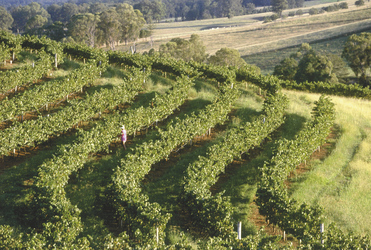 Weinanbaugebiet Barossa Valley