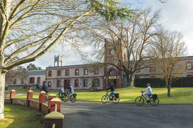 Start der Fahrradtour beim Yalumba Weingut