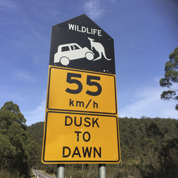 Unterwegs in Tasmaniens