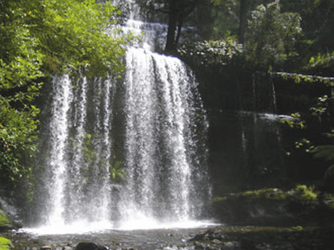 Wasserfall im Mt. Field Nationalpark