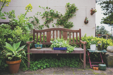 Gartenimpression