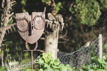 Gartenimpression