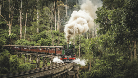 Puffing Billy Railway (optional), ©VisitVictoria