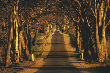 Landstraße in der Goldfields Region