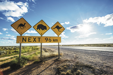 Eyre Highway , ©Greg Snell