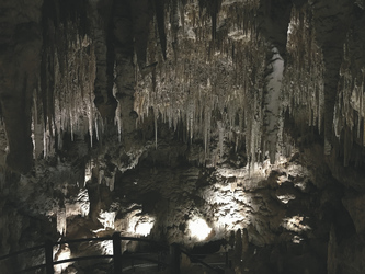 Ngilgi Caves