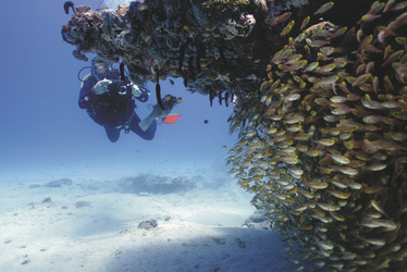 Am Ningaloo Reef ©Scott Plume