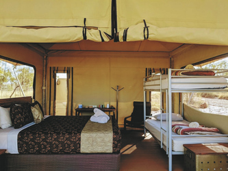 Deluxe Eco-Zelte wahlweise mit zusätzlichem Stockbett