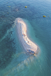 Optional: Shell Island 