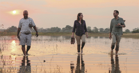 Das Okavango Delta zu Fuß erleben
