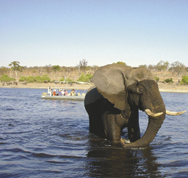 Bootsausflug auf dem Zambezi