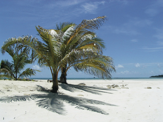 Strand auf Madagaskar