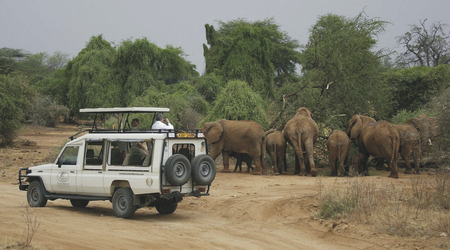 Auf Safari im Samburu NR