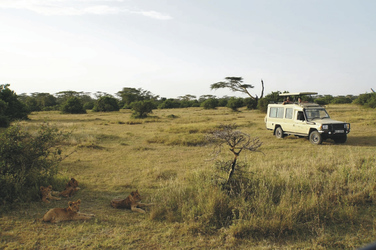 Auf Safari, ©Africa-Experience