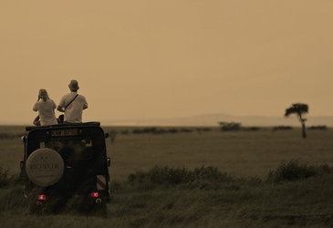 Pirschfahrt in der Masai Mara