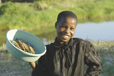Fisch - das tägliche Brot in Malawi
