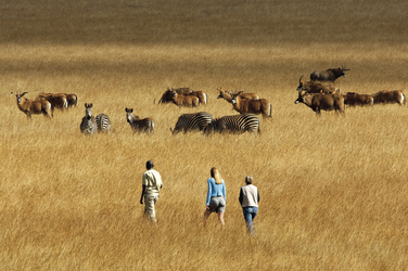 Zu Fuß unterwegs im Nyika Nationalpark