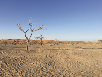 Die Namib Wüste