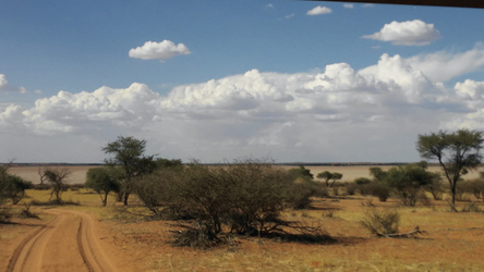 Wunderbare Kalahari-Landschaft