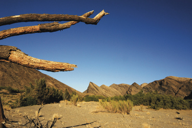 Weite Landschaft Namibias