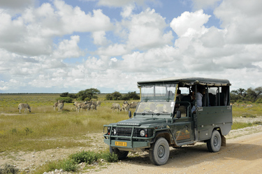 Pirschfahrt im Etosha Nationalpark