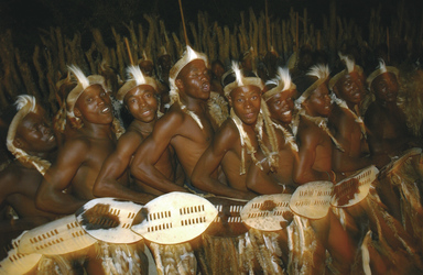 Zulu Krieger 