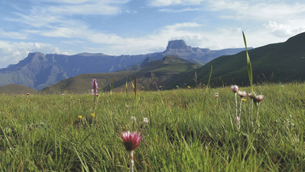 Traumhaftes Bergpanorama